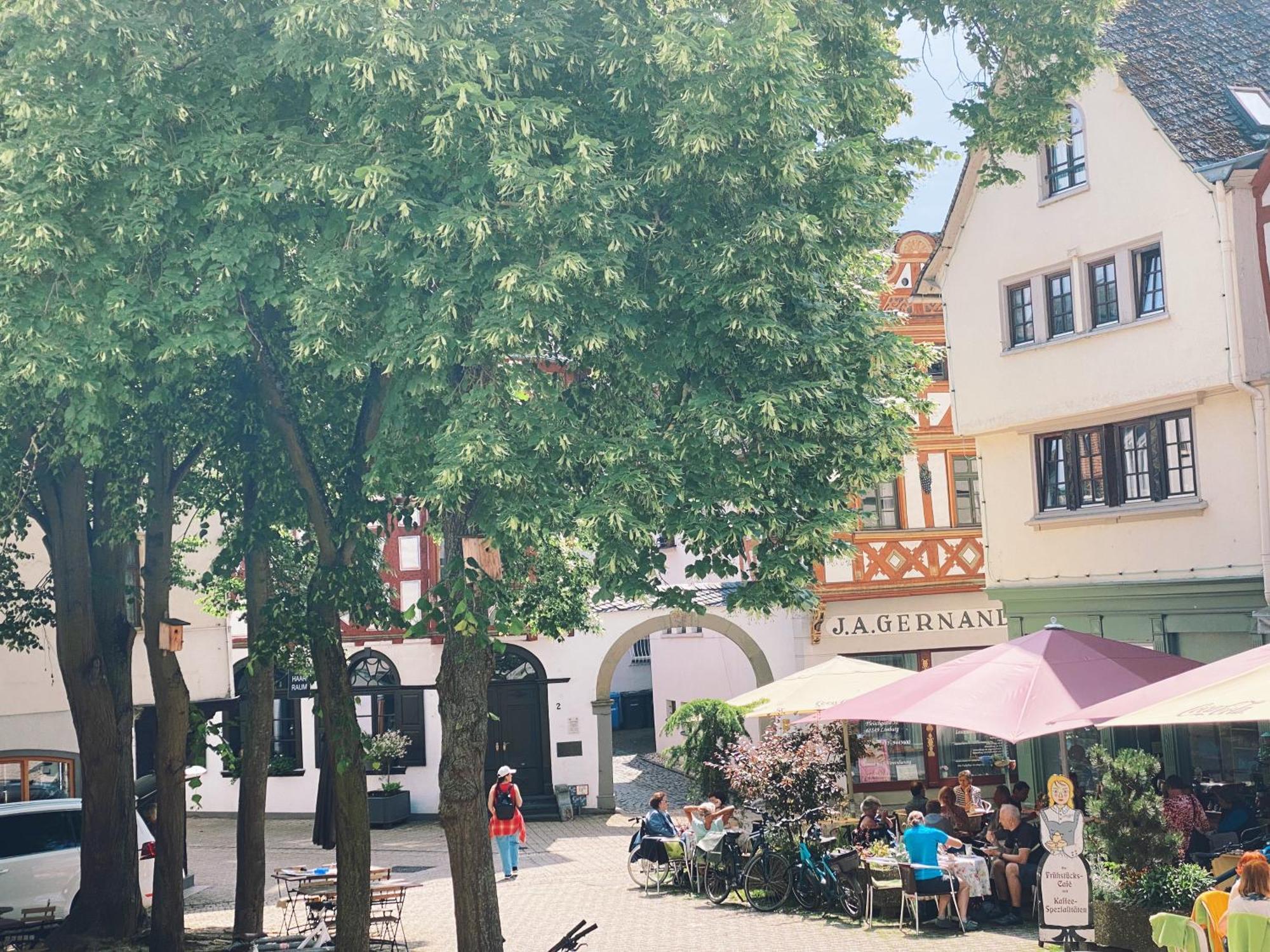 Altstadtwohnung Fleischgasse Лімбург-ан-дер-Лан Екстер'єр фото